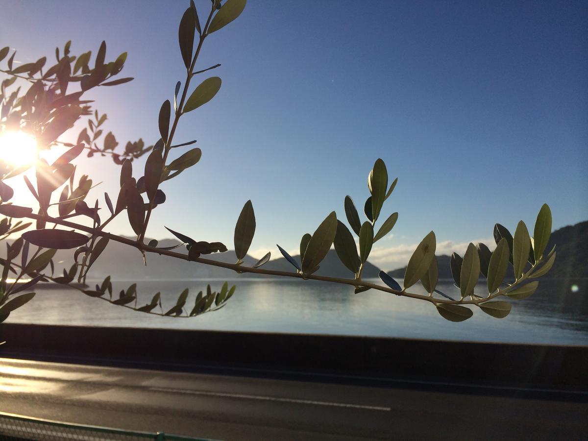 Shodoshima Olive Youth Hostel Экстерьер фото