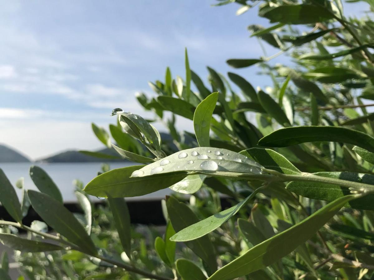 Shodoshima Olive Youth Hostel Экстерьер фото